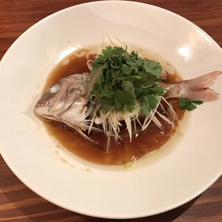 魚China YO