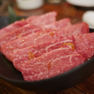 SATOブリアン