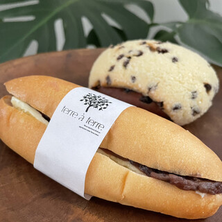 テーラ・テール