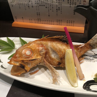 きく蔵