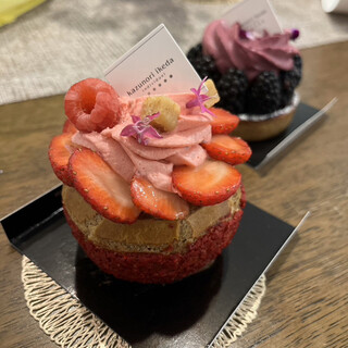 カズノリ イケダ アンディヴィデュエル