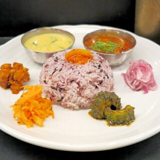 Curry Spice Gelateria KALPASI