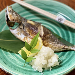 酒肴遊善 じねん